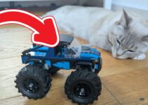 Mein Check: LEGO City 60402 Blauer Monstertruck