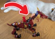 LEGO NINJAGO Wyldfires Lavadrache 71793 – Mein ehrliches Fazit!