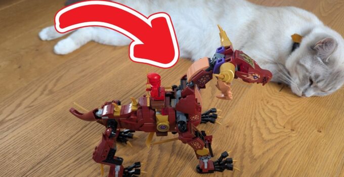 LEGO NINJAGO Wyldfires Lavadrache 71793 – Mein ehrliches Fazit!