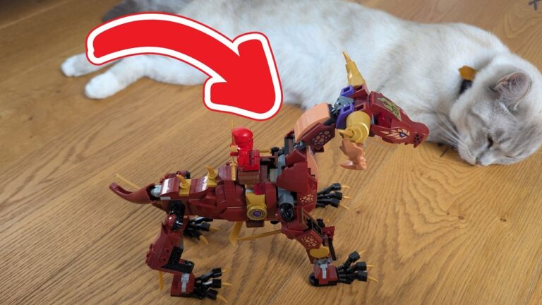LEGO NINJAGO Wyldfires Lavadrache 71793 – Mein ehrliches Fazit!